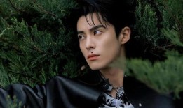 王鹤棣爆料最新消息新闻,揭秘娱乐圈幕后真相