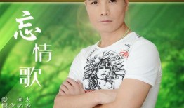 忘情歌在线观看,沉浸式音乐之旅，重温经典旋律